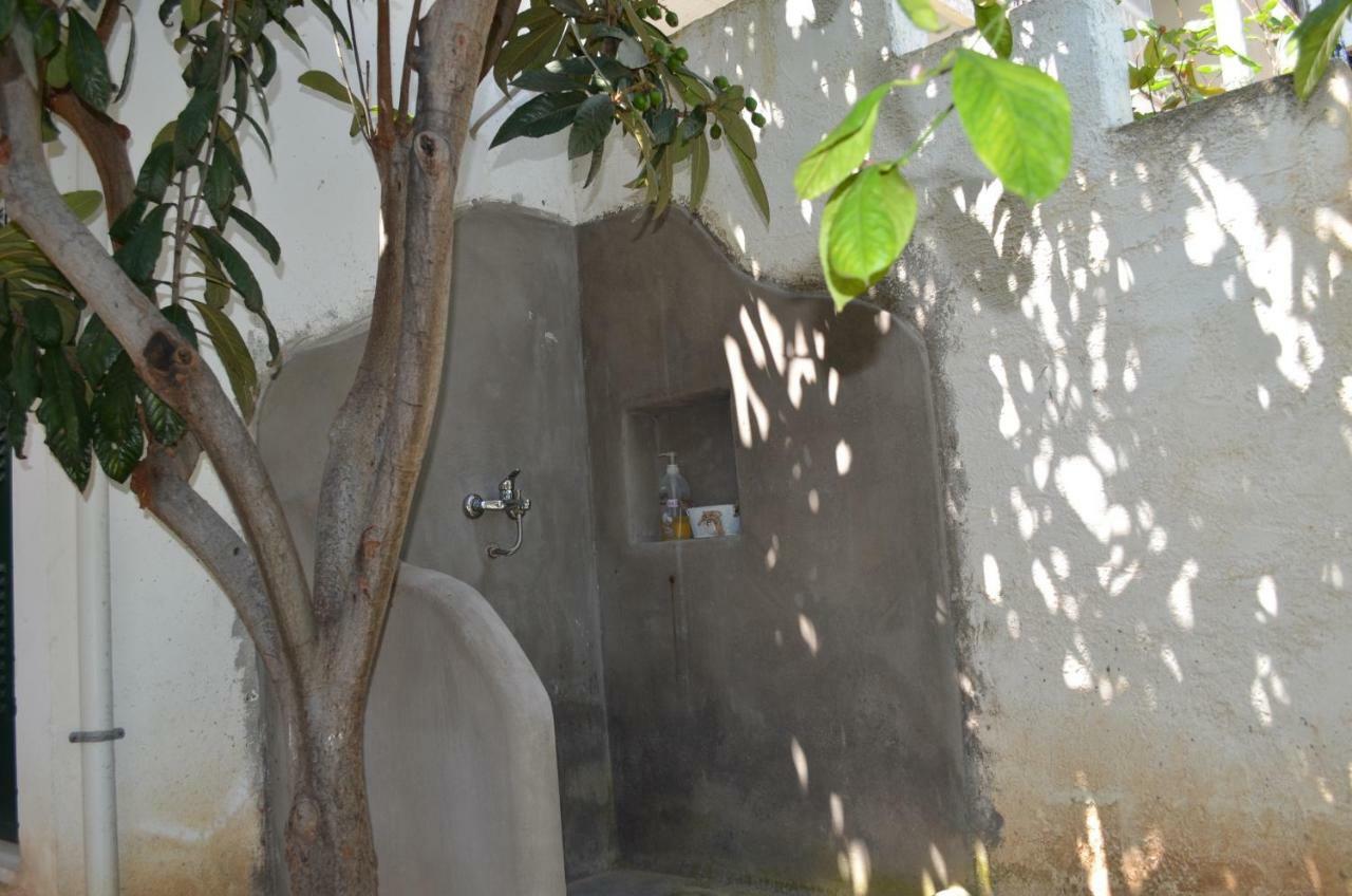 Blue Ark Flat & Appartement Aigeira